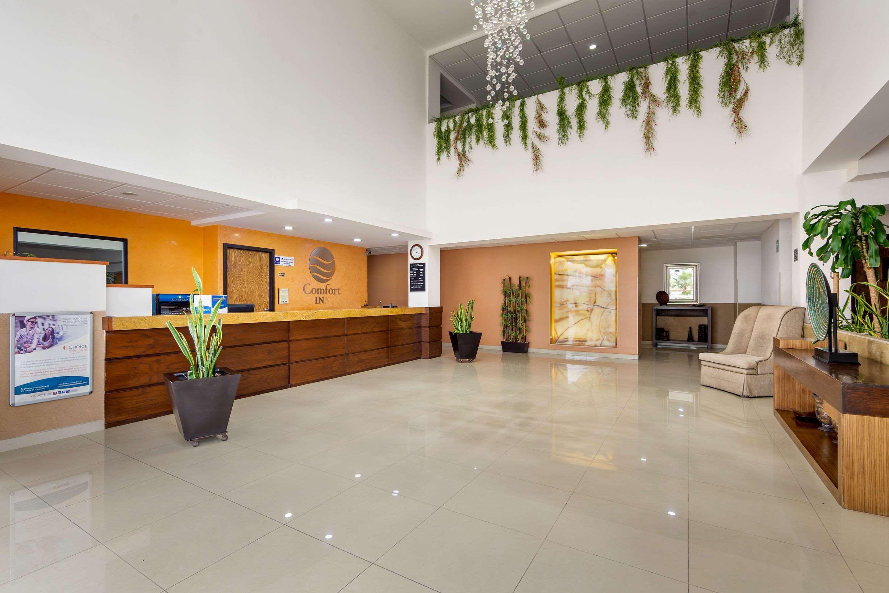 Hotel Comfort 4*